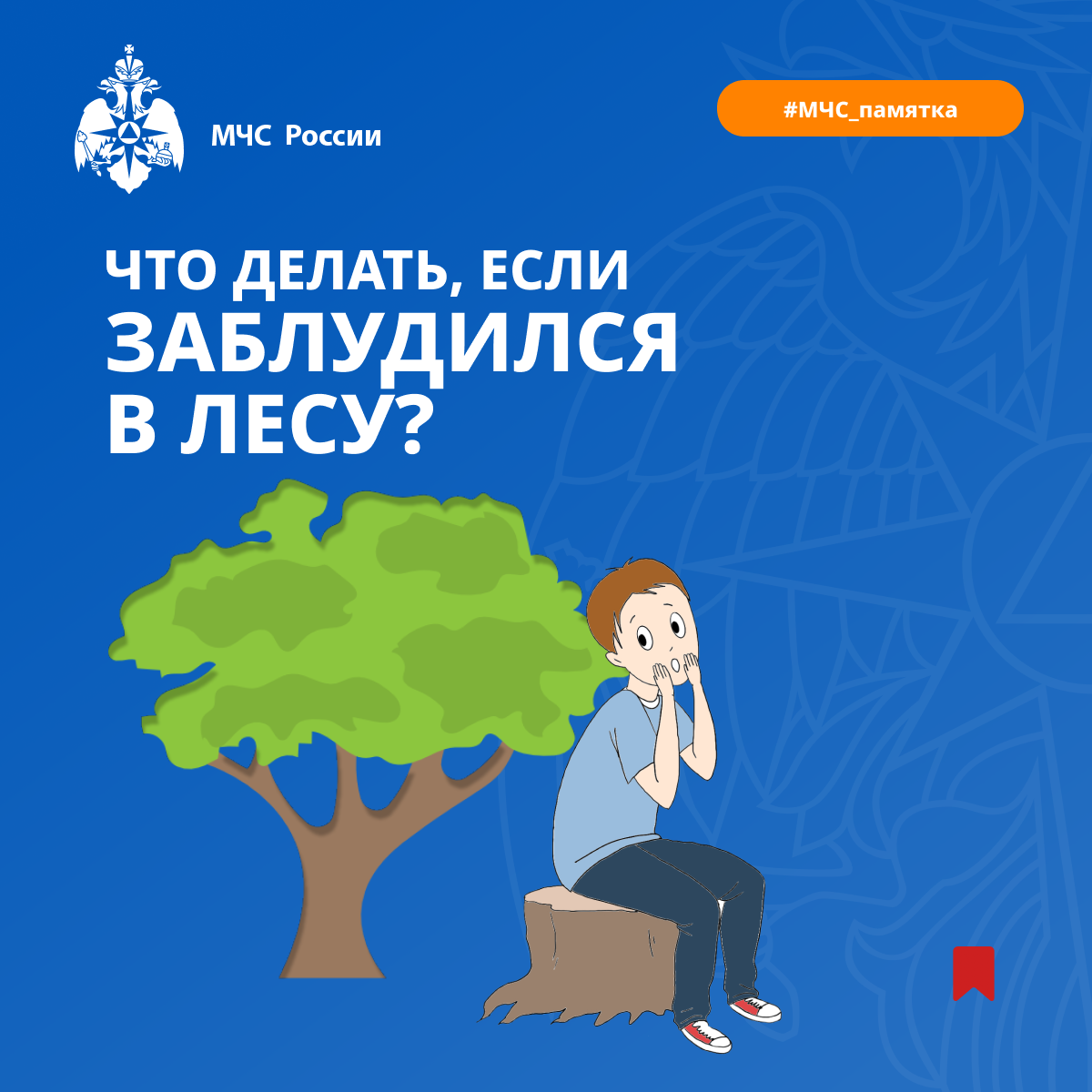 ИНФО 80.png